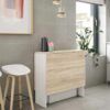 mesa alas fly1